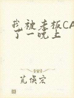 我被老板CAO了一晚上