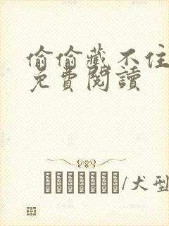 偷偷藏不住小说免费阅读封面
