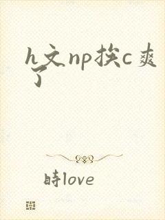h文np挨c爽了