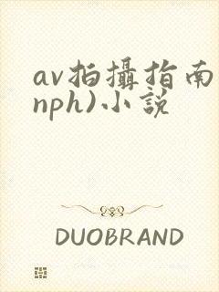 av拍摄指南(nph)小说