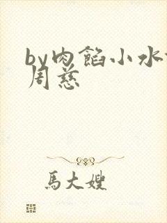 by肉馅小水饺周慈封面