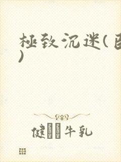极致沉迷(臣年)封面