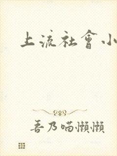 上流社会小说