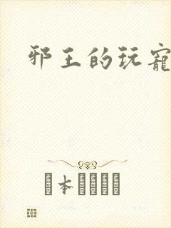 邪王的玩宠