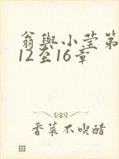 翁与小莹第十部12至16章