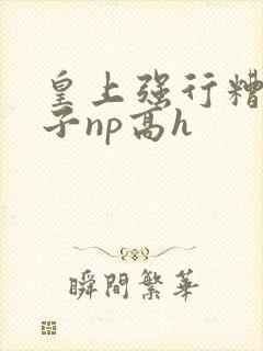 皇上强行糟蹋太子np高h