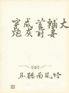 穿成首辅大人的炮灰前妻