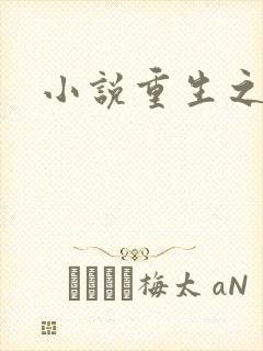 小说重生之官道封面