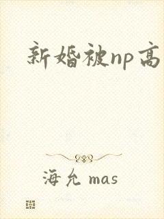 新婚被np高h