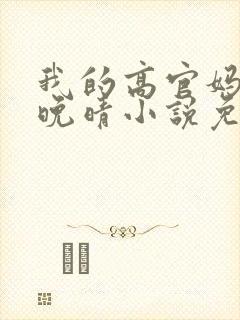 我的高官妈妈苏晚晴小说免费阅读