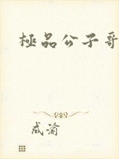 极品公子哥封面