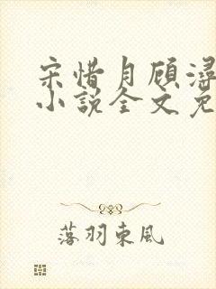 宋惜月顾浔渊的小说全文免费阅读封面