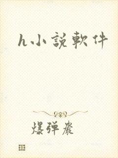 h小说软件