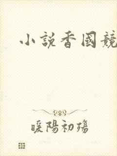 小说香国竞艳封面