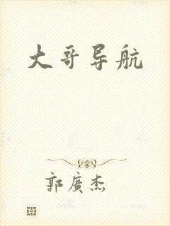 大哥导航