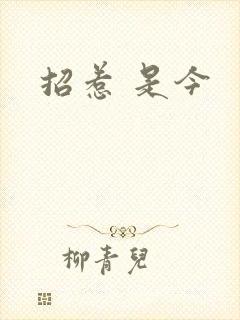 招惹 是今