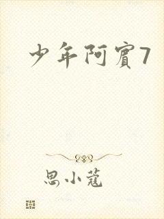 少年阿宾7封面