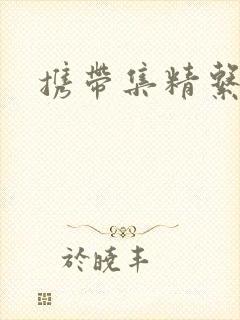 携带集精系统
