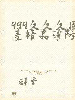999久久久国产精品消防器材