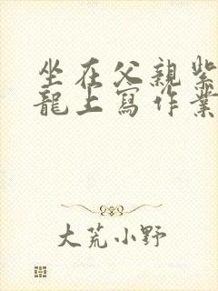 坐在父亲紫色大龙上写作业