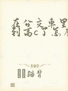 在公交车里c弄到高c了怎么办封面
