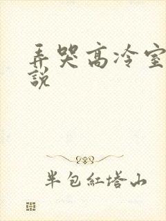 弄哭高冷室友小说