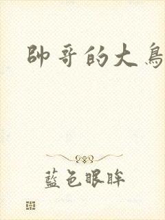 帅哥的大鸟