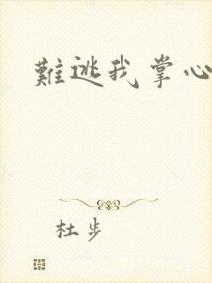 难逃我掌心