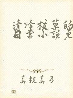 清冷校草的堕落日常小说免费阅读