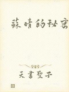 苏晴的秘密小说