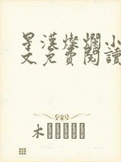 星汉灿烂小说全文免费阅读