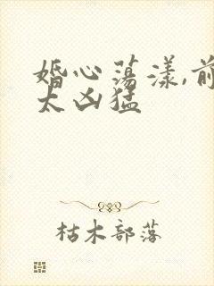 婚心荡漾,前夫太凶猛
