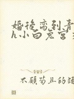 婚后脔到青梅哭h小白兔宫交h