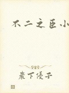 不二之臣小说