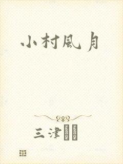 小村风月封面