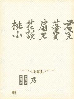 桃花扇落君不还小说免费完整版封面