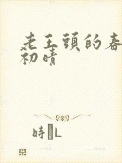 老王头的春天林初晴封面