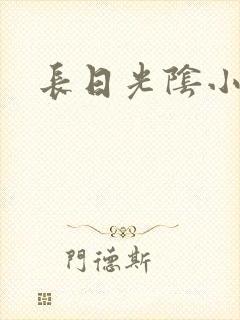 长日光阴小说