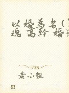 以婚为名 (军魂 高干 婚恋)