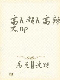 高h超h高辣h文np