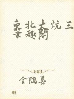 东北大炕三部曲笔趣阁