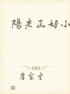 阳光正好小说
