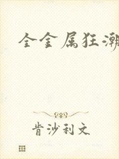 全金属狂潮小说封面