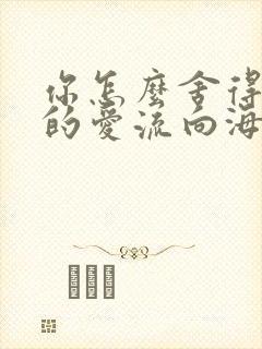 你怎么舍得让我的爱流向海封面
