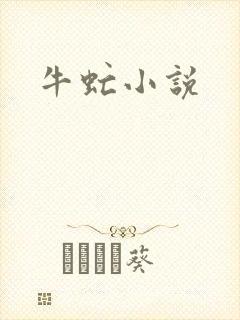 牛虻小说