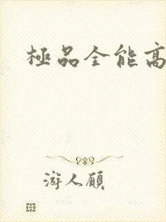 极品全能高手封面