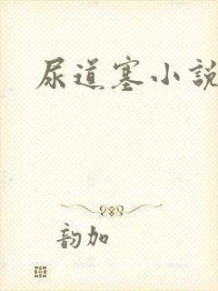 尿道塞小说