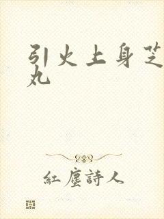 引火上身芝麻糖丸