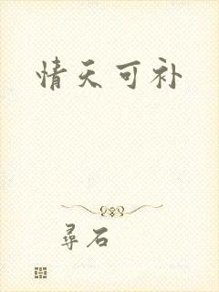 情天可补