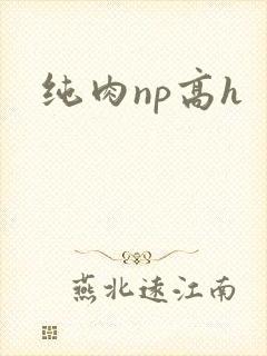 纯肉np高h